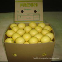 Qualité exportée de citron frais chinois /